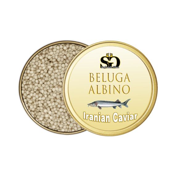 Albino-Beluga-Caviar-A-Jewel-from-the-Ocean-1